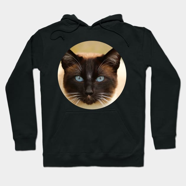 meow kitty cat kat kittens kitten meow cute cats Hoodie by FromBerlinGift